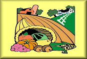 Evergreen Organic